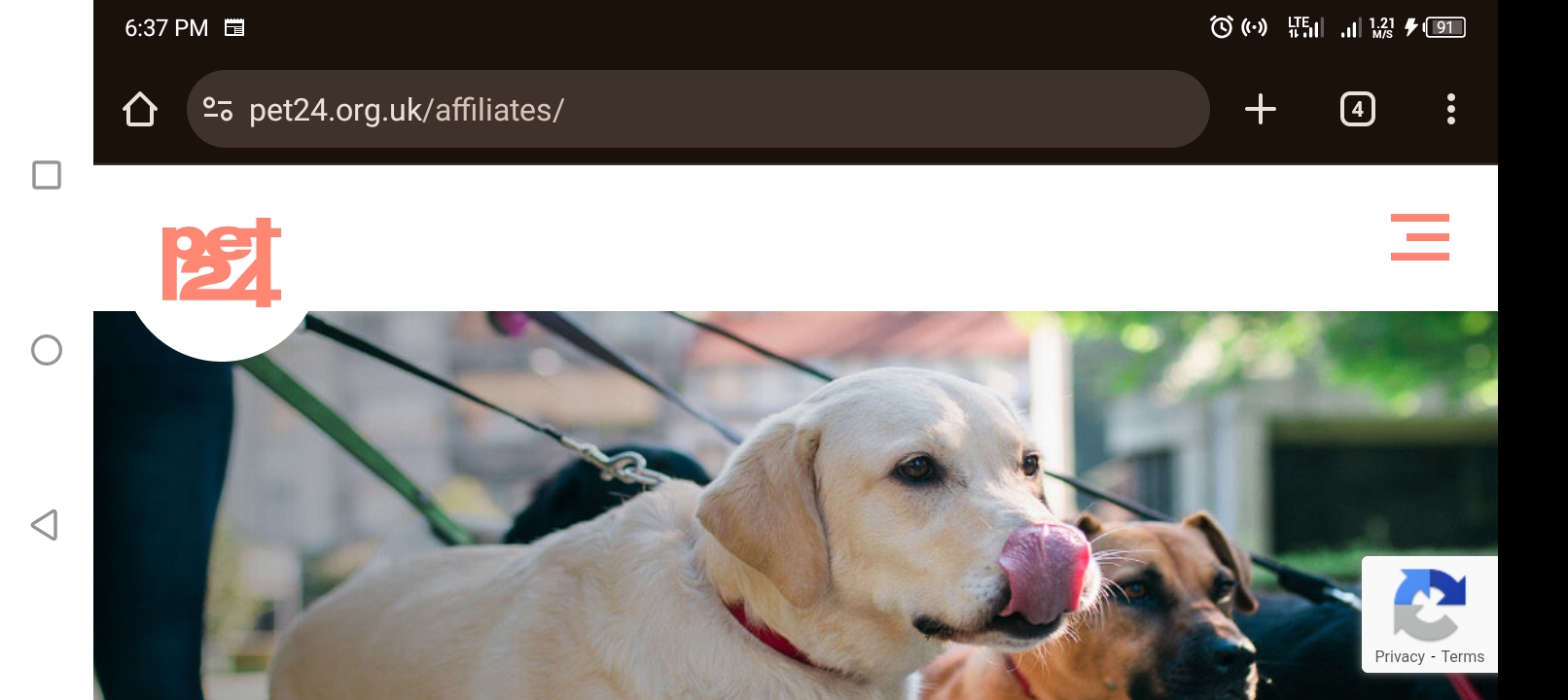 Screenshot_20250709-183707.jpg